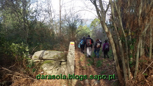 Burgo_12.jpg Burgo_12.jpg