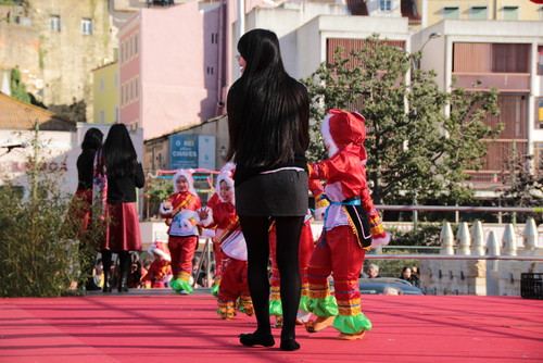 IMG_6182 Ano da Cabra 2015