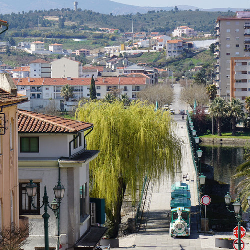 DSC03140.JPG DSC03140.JPG