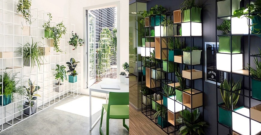 Primeira Casa da Rua 5.jpg