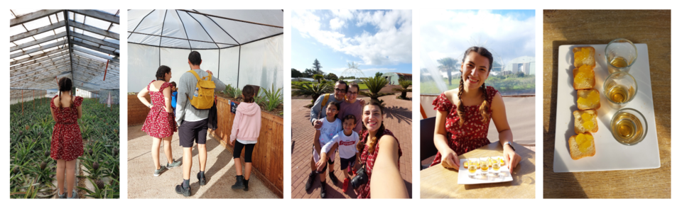 Post's Blog  (4).png