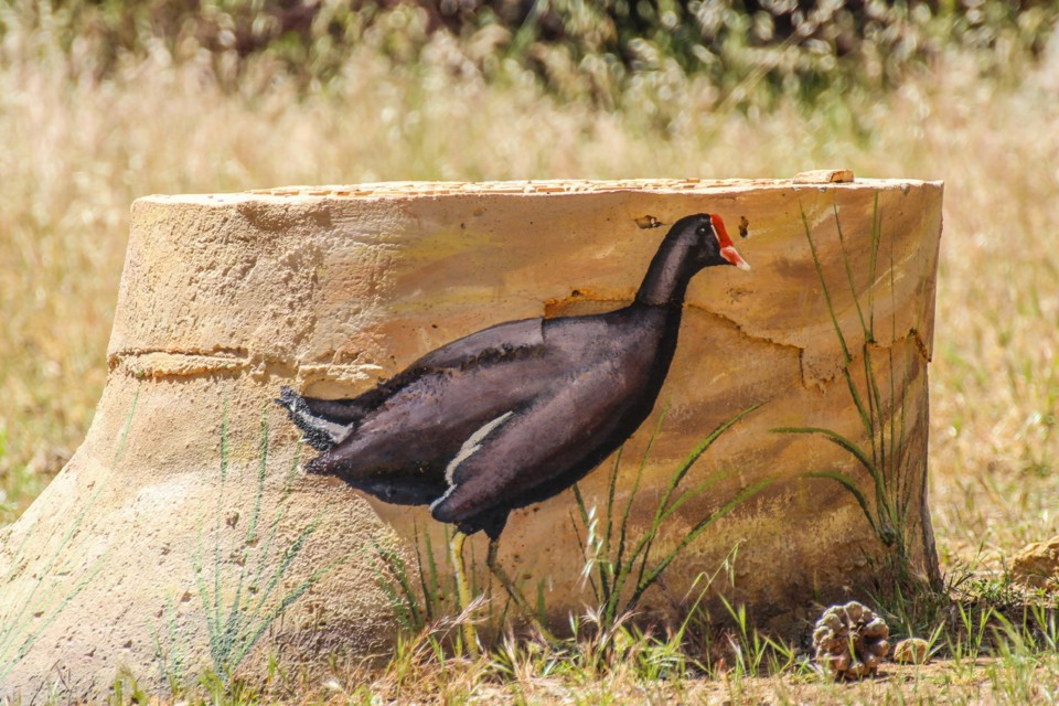 trilho das vinhas-8.jpg