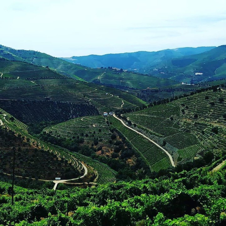 103267473_10214889810633635_8239120201490506306_o. 103267473_10214889810633635_8239120201490506306_o.