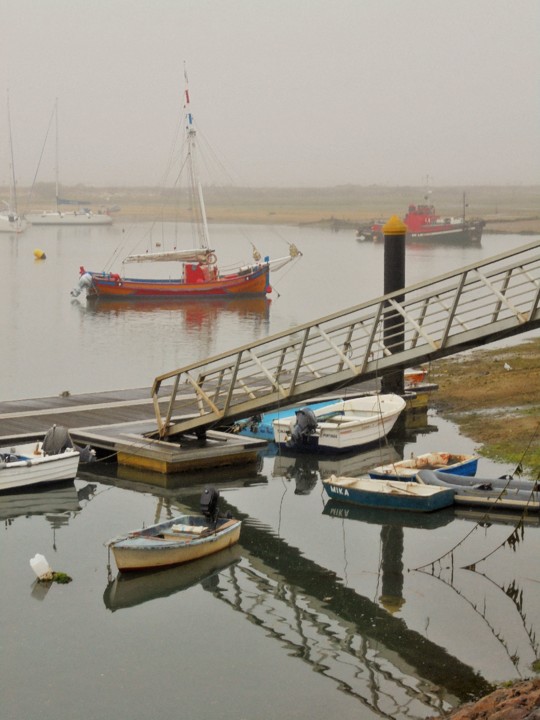 Neblina matinal....JPG