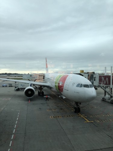 IMG_3343.jpg IMG_3343.jpg