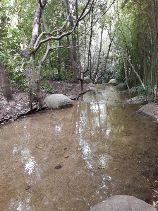 20180805_103105.jpg 20180805_103105.jpg