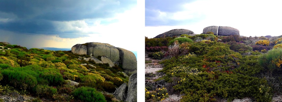 Pao trovoada e pao forma.jpg