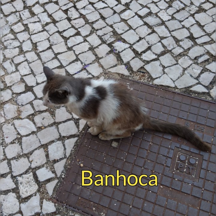 SquarePic_20190702_19320916.jpg SquarePic_20190702_19320916.jpg