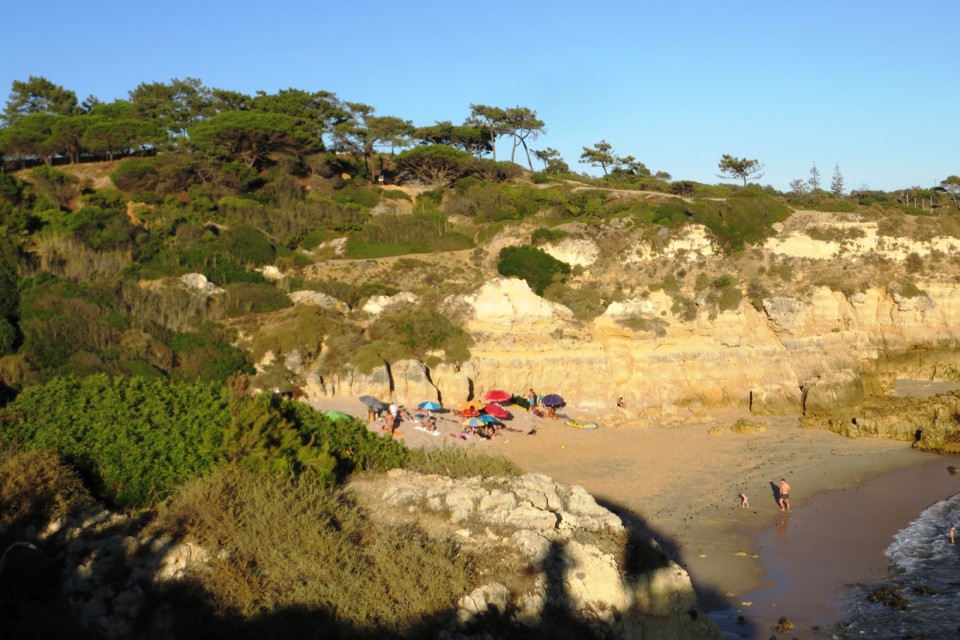 IMG_3880.JPG IMG_3880.JPG