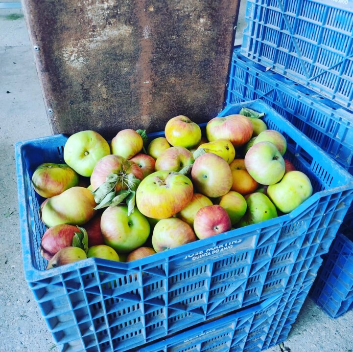 527198152_18491762125066958_7917387841272361750_n.