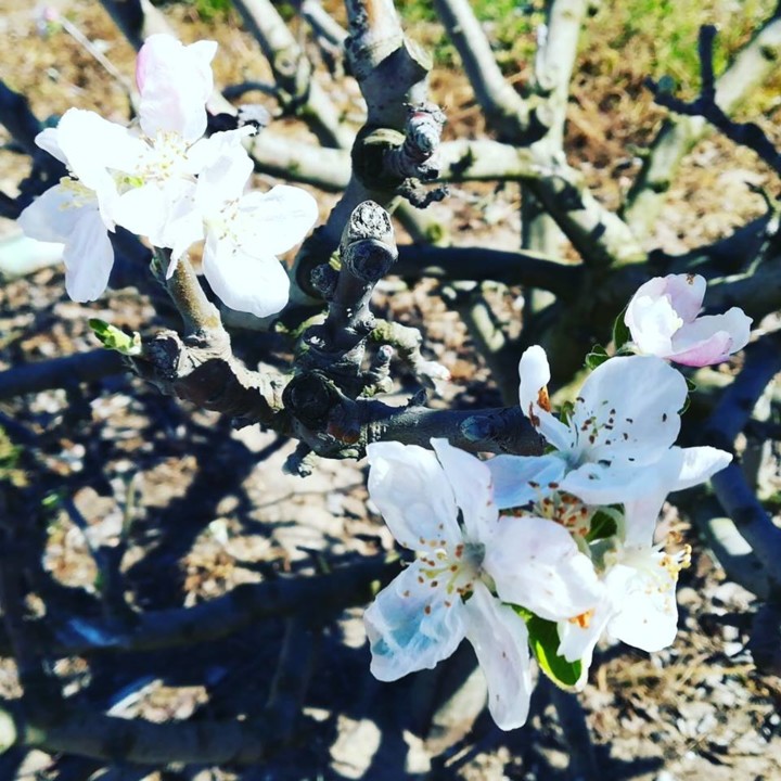 54353448_1329975923808832_3212670910758649856_n.jp 54353448_1329975923808832_3212670910758649856_n.jp