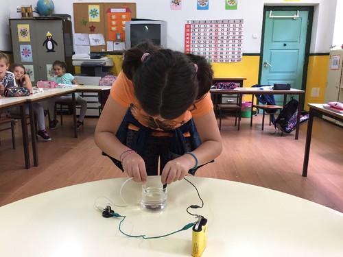 IMG_0952.JPG IMG_0952.JPG