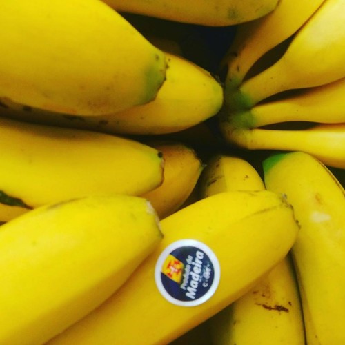 13177781_704411429698621_1646190744810626796_n.jpg 13177781_704411429698621_1646190744810626796_n.jpg