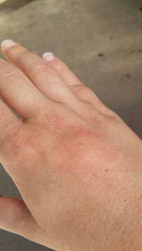 20160725_100622.jpg 20160725_100622.jpg