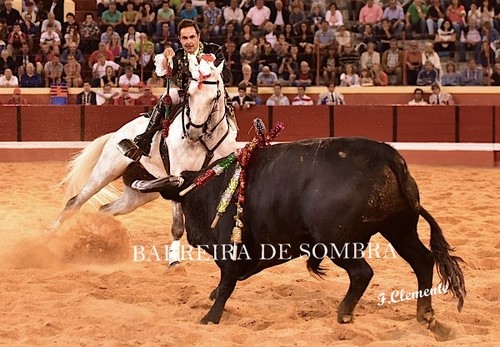 BARREIRA DE SOMBRA13-35-DSC_5378.JPG