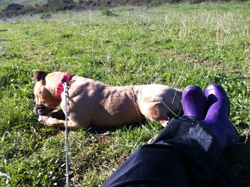 2016-02-20 10.38.06.jpg