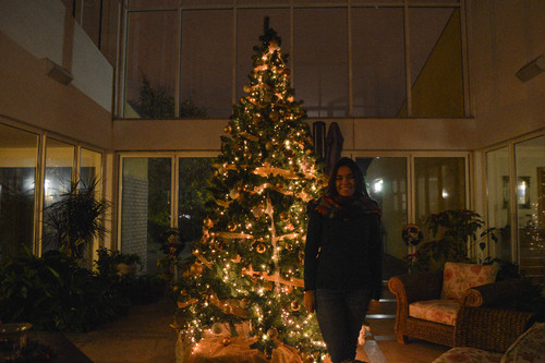 ArvoreNatal2016 (22 de 1).jpg