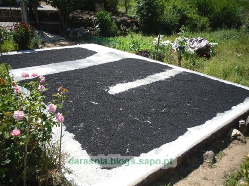 Salzedas_Ucanha_06.JPG Salzedas_Ucanha_06.JPG