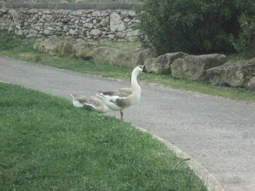 33020252_1652197941562171_285506078395858944_n.jpg 33020252_1652197941562171_285506078395858944_n.jpg