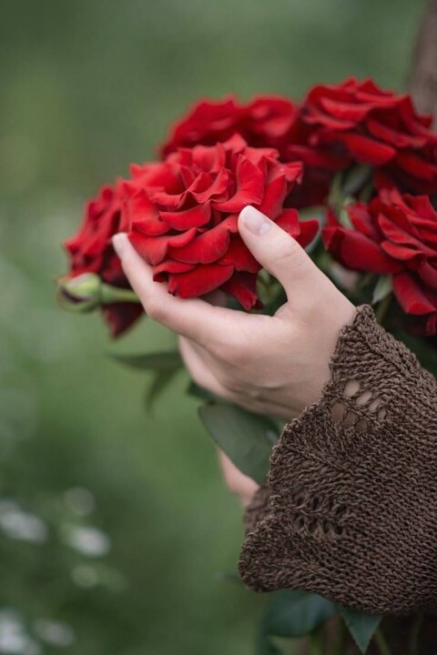 503870626_1263916901770827_1790790312152903136_n.j