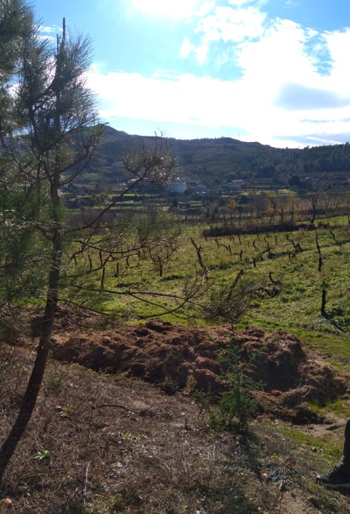 IMG_20210110_123244_BEAUTY~2.jpg IMG_20210110_123244_BEAUTY~2.jpg