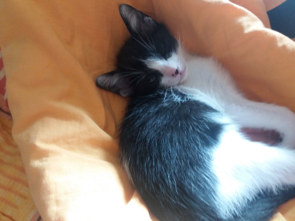 20190616_095445.jpg 20190616_095445.jpg