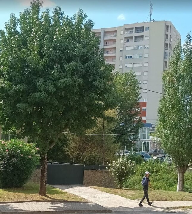 Não me canso disto Primavera.JPG