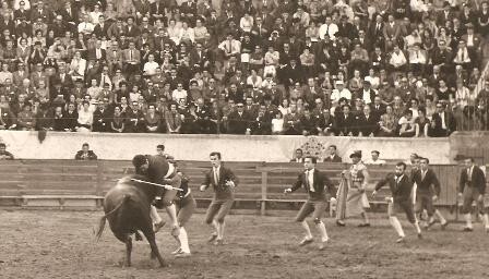 Pega de João Patinhas - 1963.jpg