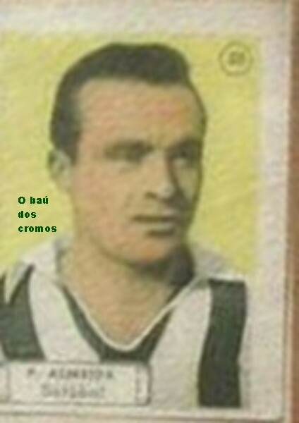 pinto de almeida.jpg