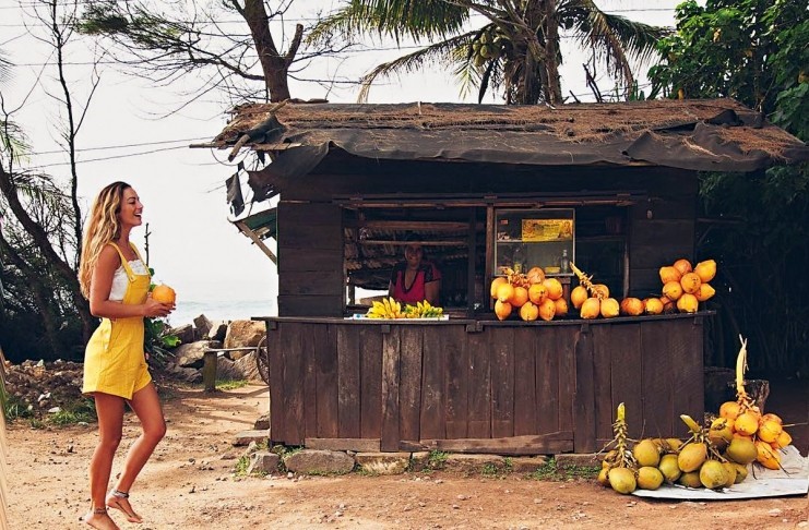 12-2-741x486_c.jpg 12-2-741x486_c.jpg