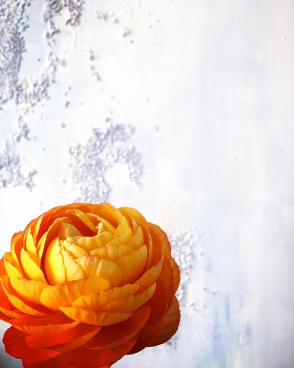 Shine like the whole universe is yours. — Rumi.j