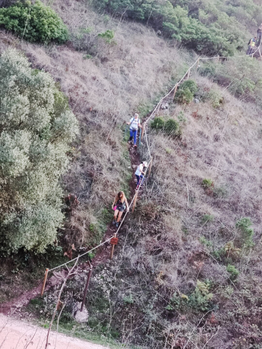 310364058_10223484305603488_7428428840250463350_n.