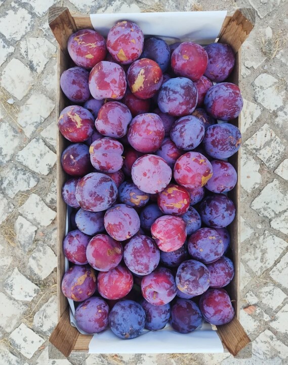 523096431_18490574026066958_4208262205834385428_n.