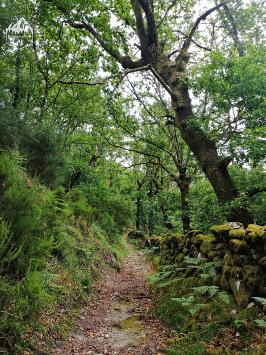 Photo_1597132542973.jpg Photo_1597132542973.jpg