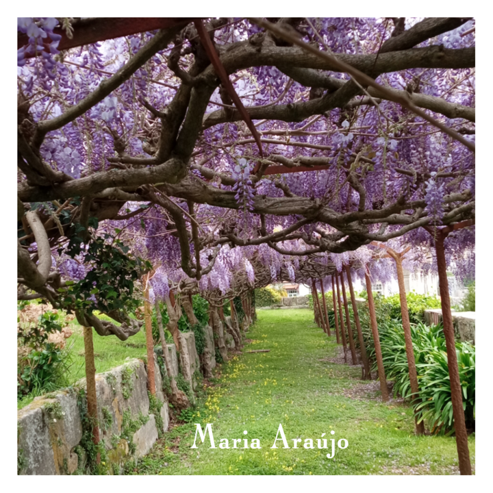 photogrid.collagemaker.photocollage.squarefit_2023