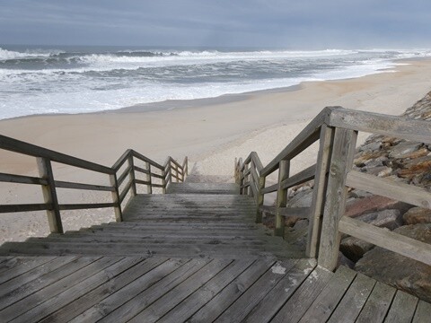 29b_Vagueira (18).JPG