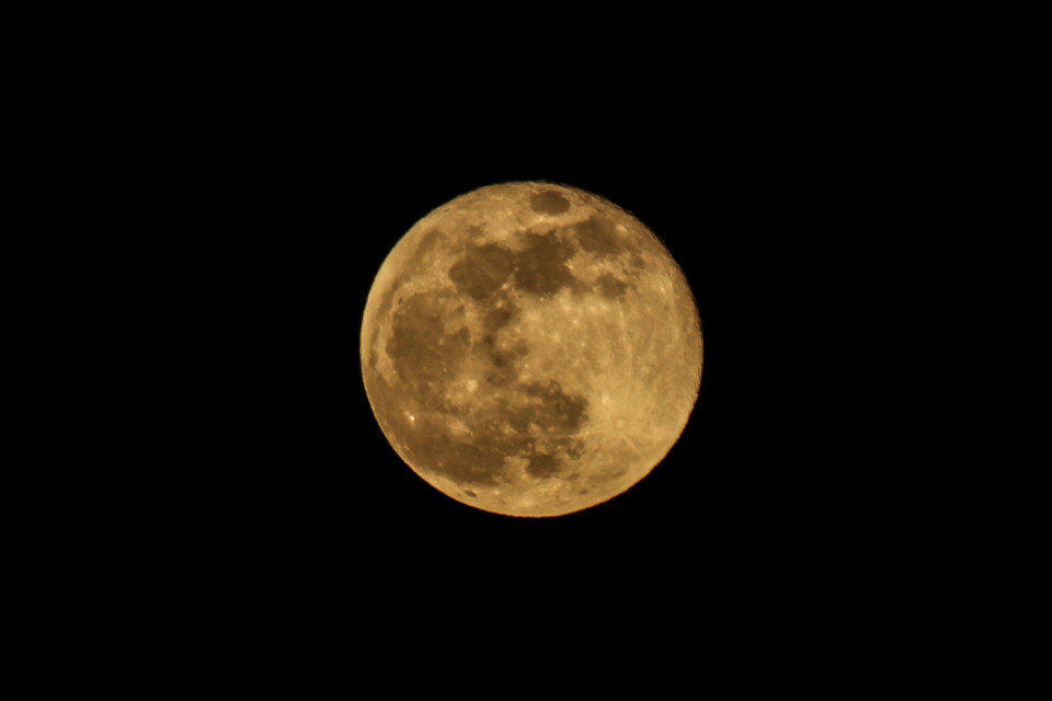 super lua 1.jpg