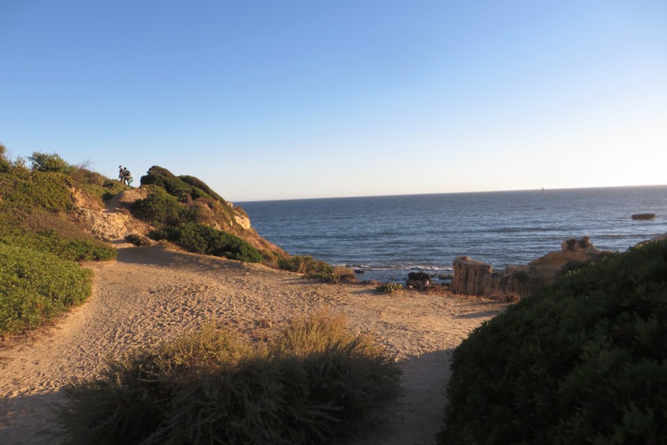 IMG_3935.JPG IMG_3935.JPG