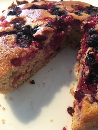 IMG_6641.JPG IMG_6641.JPG