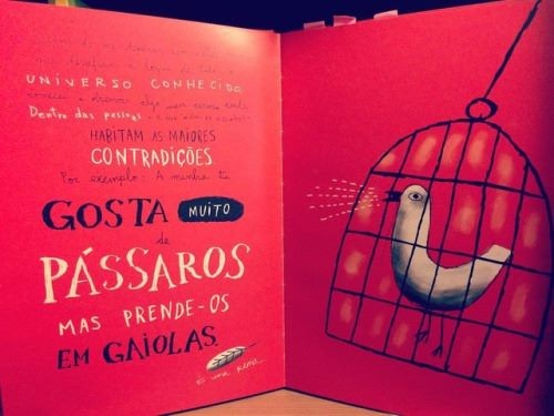 17499525_1137327223038937_9150001786032059412_n.jp 17499525_1137327223038937_9150001786032059412_n.jp