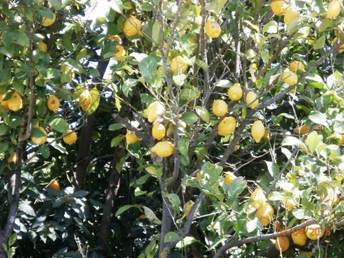 Páscoa 2015 022.jpg Páscoa 2015 022.jpg