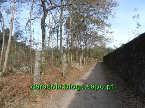 Trilho_Eiras_Famalicao_10.JPG