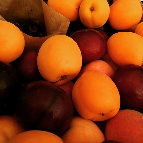 13557806_727615577378206_326488810672859708_n.jpg 13557806_727615577378206_326488810672859708_n.jpg