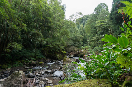 DSC09477.jpg DSC09477.jpg