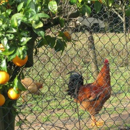 23844086_1653783291340714_2711422350137491456_n.jp