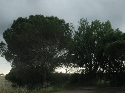 IMG_5806.JPG IMG_5806.JPG