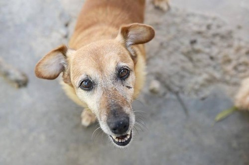 11880672_10156029388005311_5077638348621776587_n.j