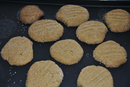 bolachas de amendoim bolachas de amendoim