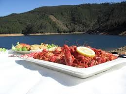 lagostins.jpg lagostins.jpg