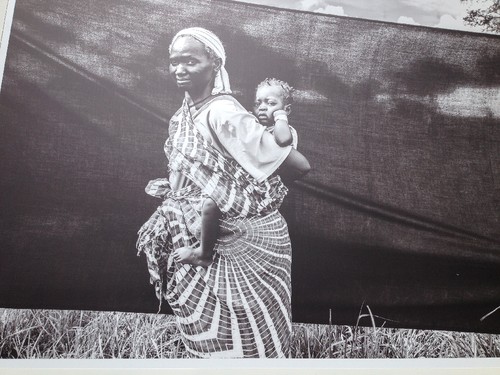 fotografia 2 (1).JPG fotografia 2 (1).JPG